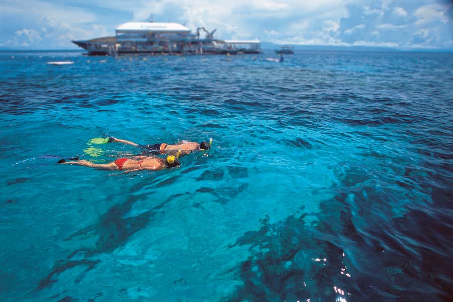 Port Douglas: Quicksilver Outer Barrier Reef Full-Day Cruise - Lunch, tea, and the little comforts that keep a long day enjoyable