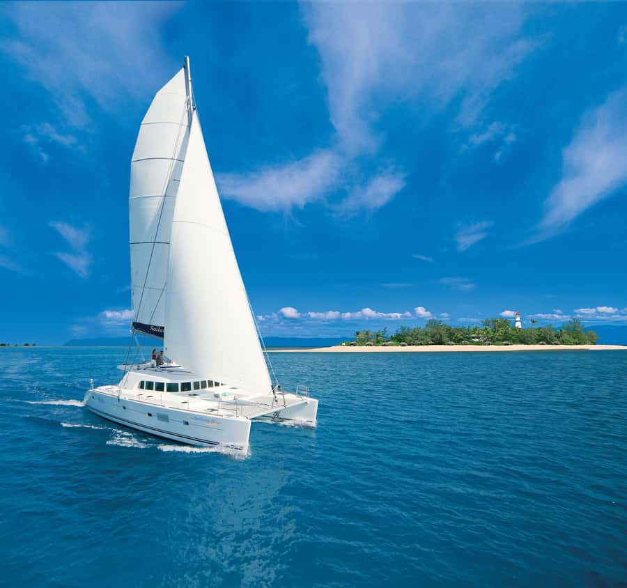 Port Douglas: Reef & Low Isles Cruise on Luxury Catamaran - Low Isles on a coral cay, what to do with 4.5 hours