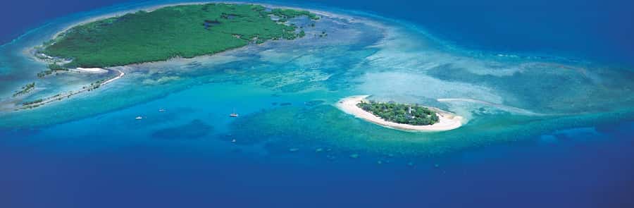 Port Douglas: Reef & Low Isles Cruise on Luxury Catamaran - Snorkelling support, gear you don’t have to shop for