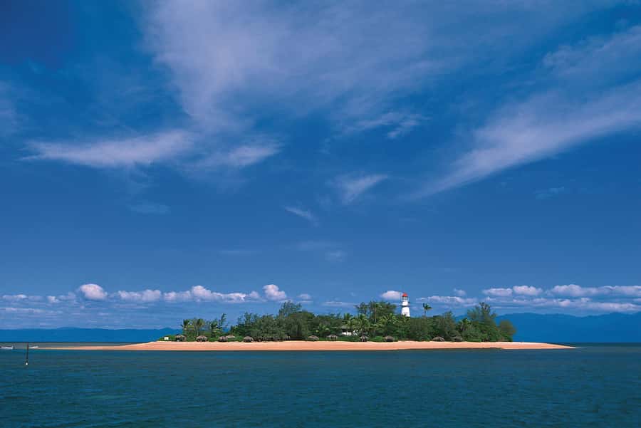 Port Douglas: Reef & Low Isles Cruise on Luxury Catamaran - Glass-bottom boat and reef interpretation, a second angle on the reef