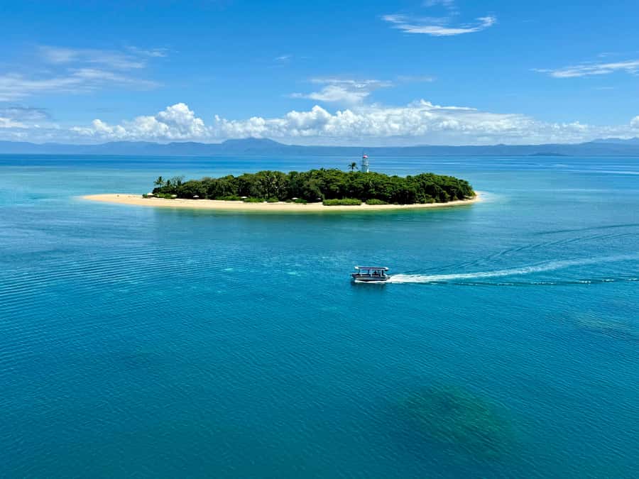 Port Douglas: Reef & Low Isles Cruise on Luxury Catamaran - Comfort, weather, and staying sane on a full-day cruise