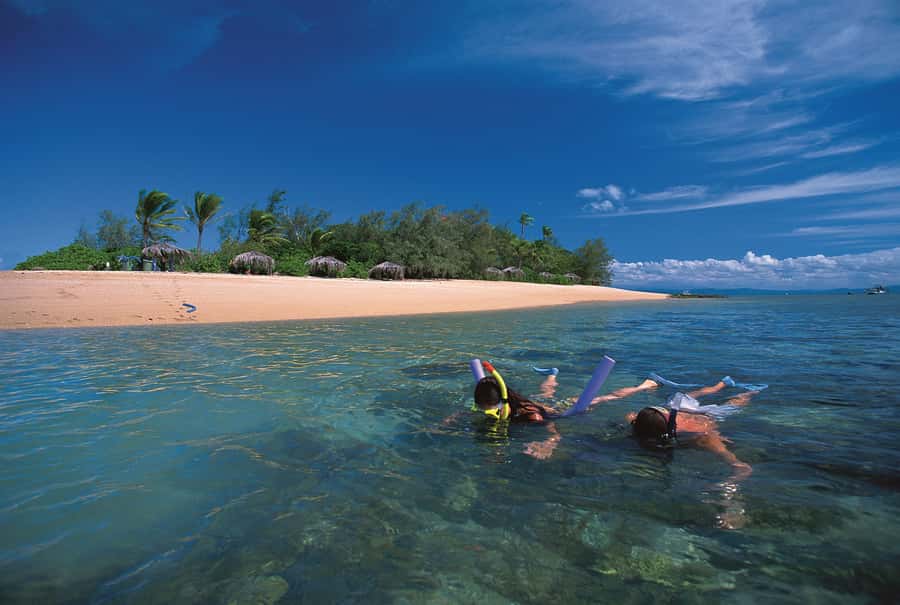Port Douglas: Reef & Low Isles Cruise on Luxury Catamaran - A luxury catamaran day that actually feels like a day