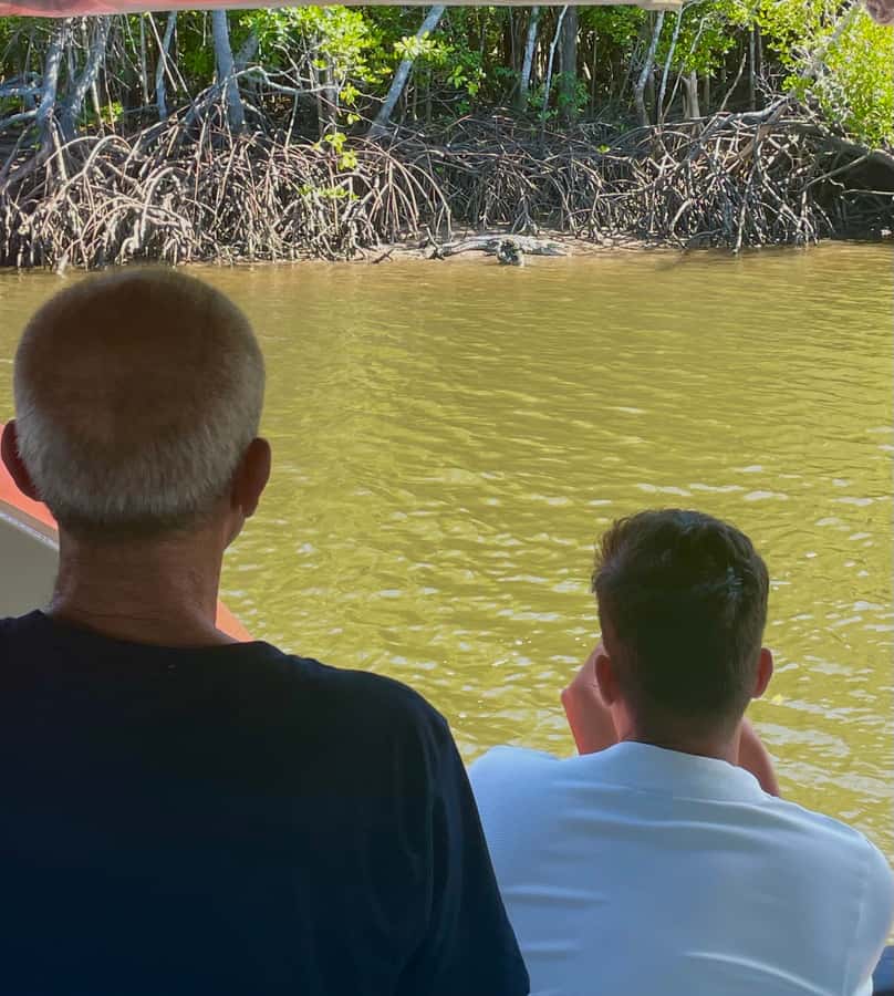 Port Douglas: River Cruise, Crocodile Spotting, Drink/ Snack - Skipper stories and local history from the microphone