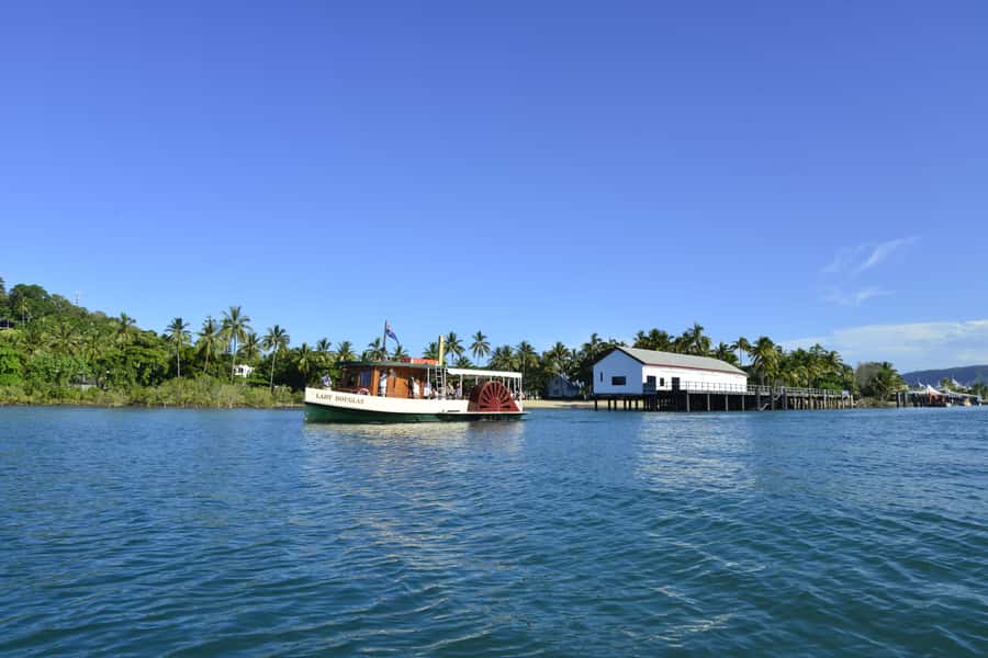 Port Douglas: River Cruise, Crocodile Spotting, Drink/ Snack - Mangrove forests and Dickson Inlet: the scenery you came for