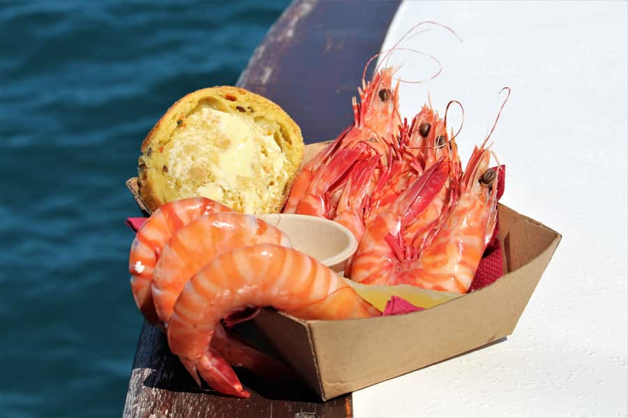 Port Douglas: Shaolin Seafood Lunch Sail, with Fresh Prawns - Who this tour fits best, and who should skip it