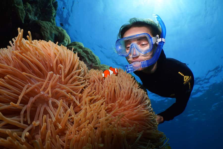 Port Douglas: Silversonic Great Barrier Reef Dive & Snorkel - Silversonic catamaran comfort: your day starts with how easy it feels