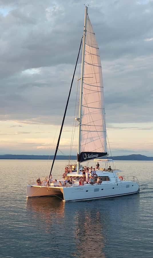 Port Douglas: Sunset Sailing Cruise on Luxury Catamaran - What actually happens during the cruise from marina to return