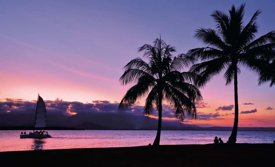 Port Douglas: Sunset Sailing Cruise on Luxury Catamaran - How the boat, comfort, and seating affect your experience
