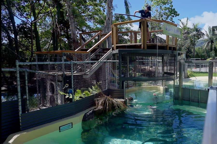 Port Douglas: Wildlife Habitat Swim with Crocodiles - Key things to know before you go