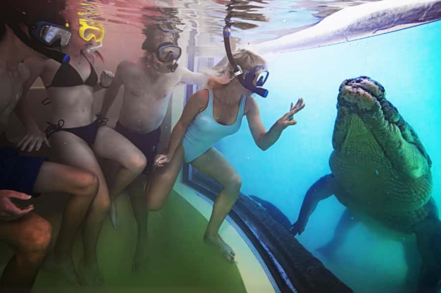 Port Douglas: Wildlife Habitat Swim with Crocodiles - Practical tips: what to bring, how to check in, and rules that matter