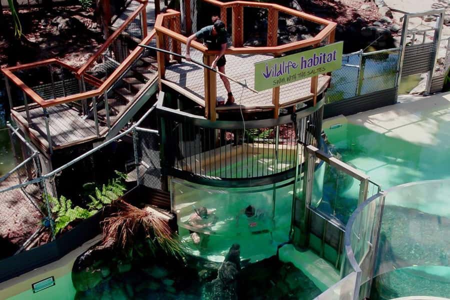 Port Douglas: Wildlife Habitat Swim with Crocodiles - The 45-minute crocodile swim, from safety briefing to CrocArena time