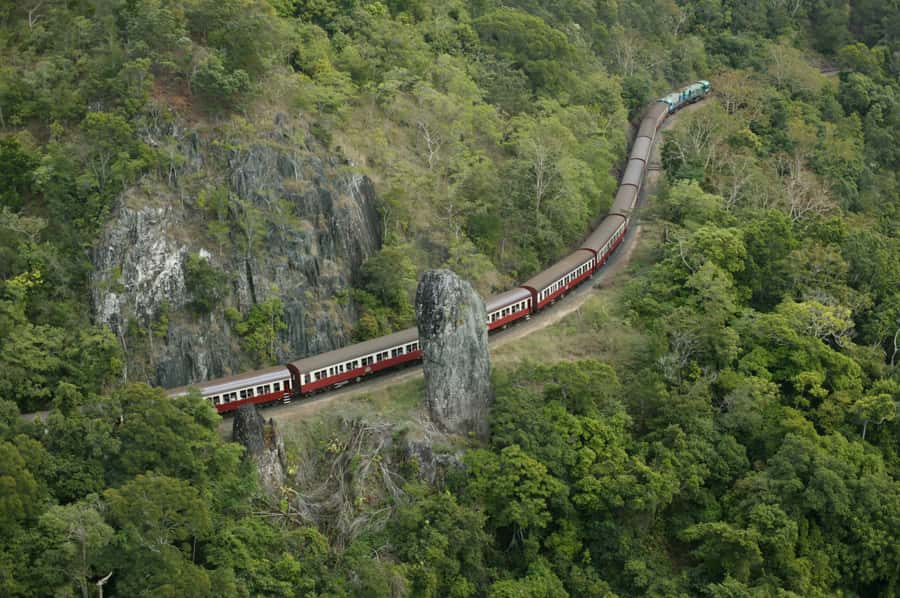 Port Douglas: World Heritage Forest by Skyrail & Scenic Rail - Port Douglas to Kuranda, One Day, Two Ways to See the Rainforest