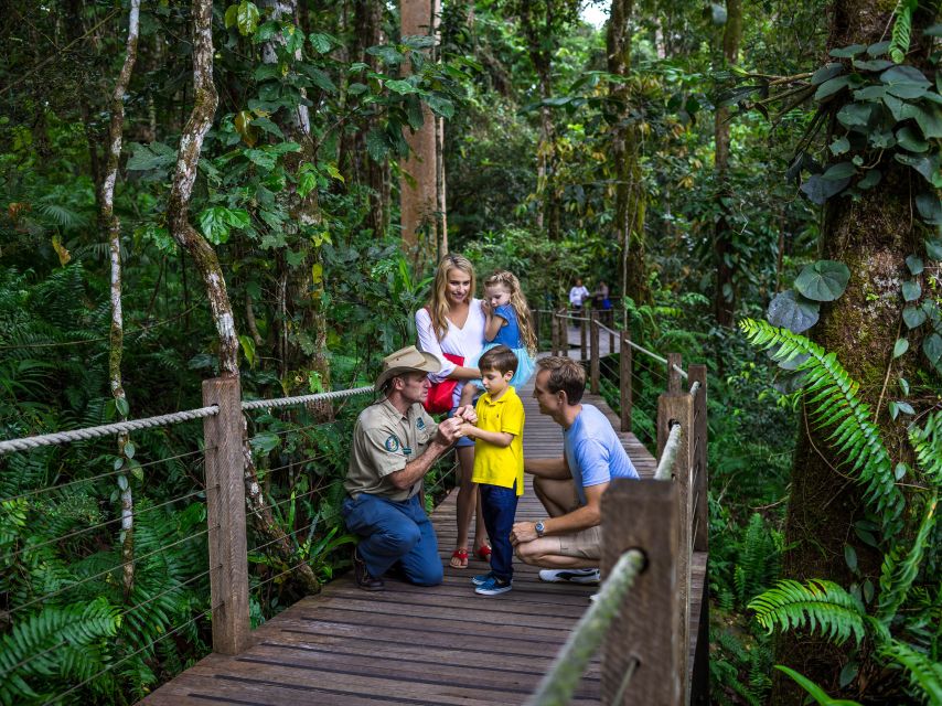 Port Douglas: World Heritage Forest by Skyrail & Scenic Rail - Practical Tips So Your Day Feels Easier