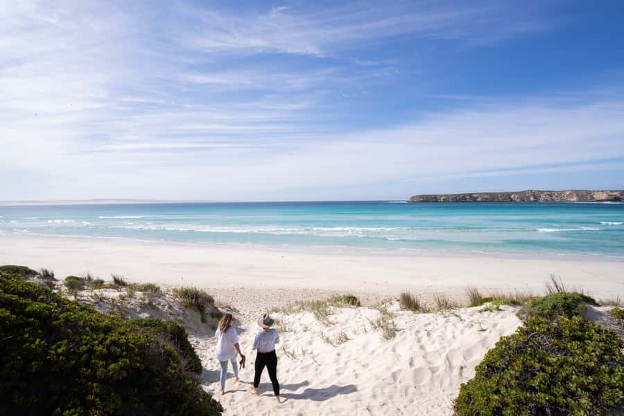 Port Lincoln: Coffin Bay Seafood, Wine, and Nature Day Trip - Key Highlights Worth Booking For