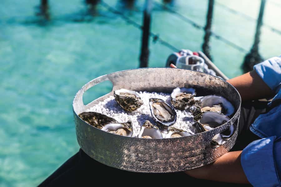 Port Lincoln: Coffin Bay Seafood, Wine, and Nature Day Trip - How the schedule feels: 8 hours, small group, and early pickup