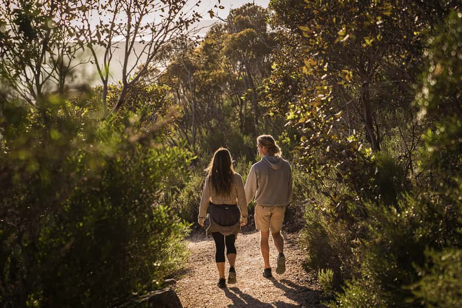 Port Lincoln Day Tour: Eyre Peninsula - What to Pack, and How to Choose This Tour for Your Style