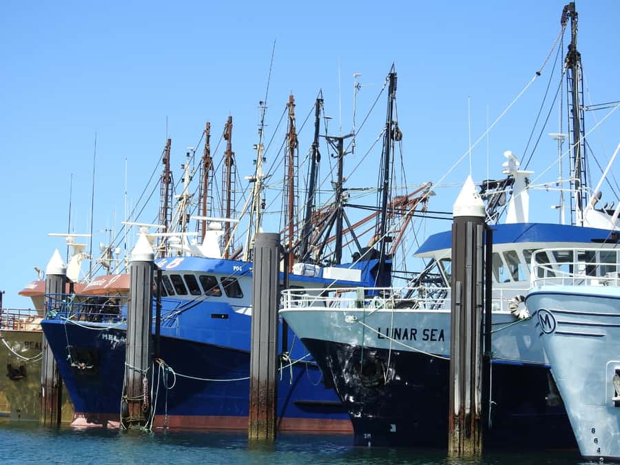 Port Lincoln Day Tour: Eyre Peninsula - Getting From Port Lincoln to the Wild Coast Without the Guesswork