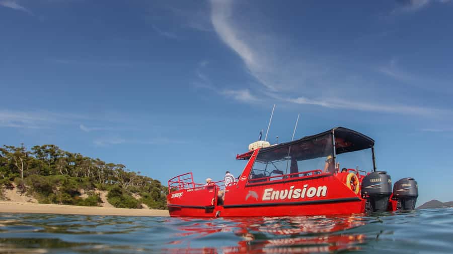 Port Stephens: 1hr Dolphin Watch Express - Key Things I’d Book This For