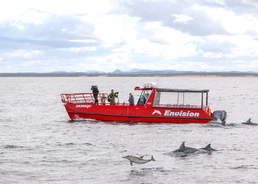 Port Stephens: 1hr Dolphin Watch Express - Cruising the Bay: From Shoal Bay to Jimmy’s Beach