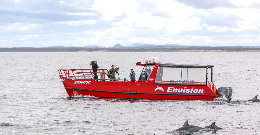 Port Stephens: 1hr Dolphin Watch Express - Price and Value: Is $35 Fair for a Dolphin Cruise?