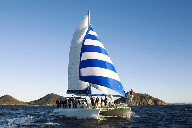 Port Stephens 3 Hour Whale and Dolphin Watch Cruise - Who should book this cruise