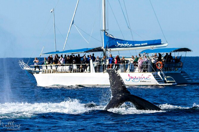 Port Stephens 3 Hour Whale and Dolphin Watch Cruise - What you get for comfort: warm gear, shade, tea, and bathrooms