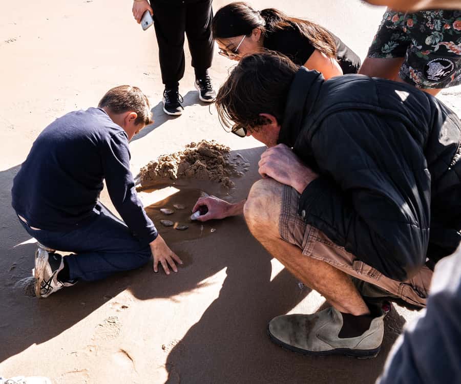 Port Stephens: Birubi Beach 4WD Tour with Sandboarding - Birubi Beach pipi hunting: what you learn and why it feels special