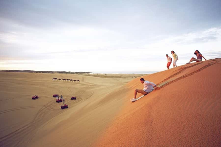 Port Stephens: Dolphin Cruise, Lunch, Koalas & Sandboarding - The early Sydney start, and how to make it painless