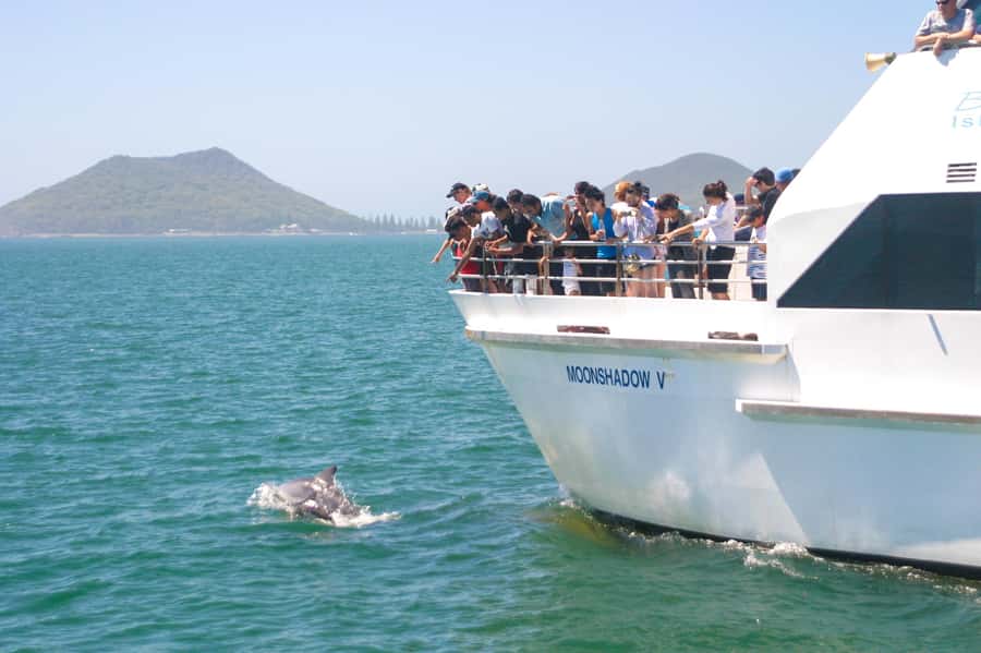 Port Stephens: Dolphin Cruise, Lunch, Koalas & Sandboarding - Lunch in Port Stephens: included fuel, with one important pricing note