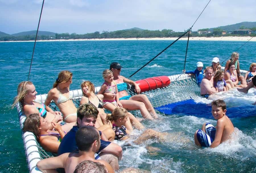 Port Stephens: Dolphin Cruise, Lunch, Koalas & Sandboarding - PS Koala Sanctuary: rehab focus, story walk, and the canopy SKYwalk