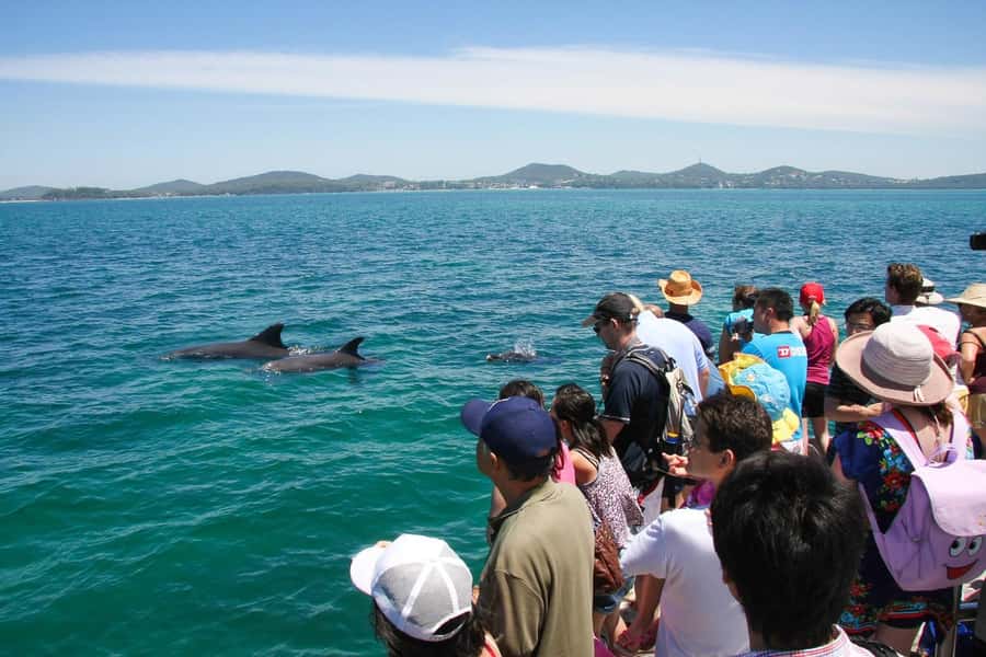Port Stephens: Dolphin Cruise, Lunch, Koalas & Sandboarding - Stockton sand dunes sandboarding: one of Australia’s big dune systems