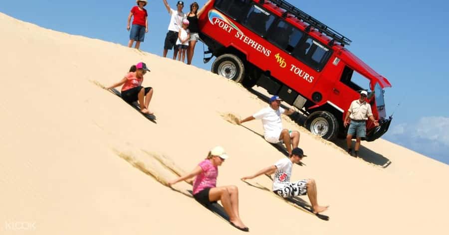 Port Stephens: Dolphin Cruise, Lunch, Koalas & Sandboarding - The pacing from start to finish, and where you might feel time pressure