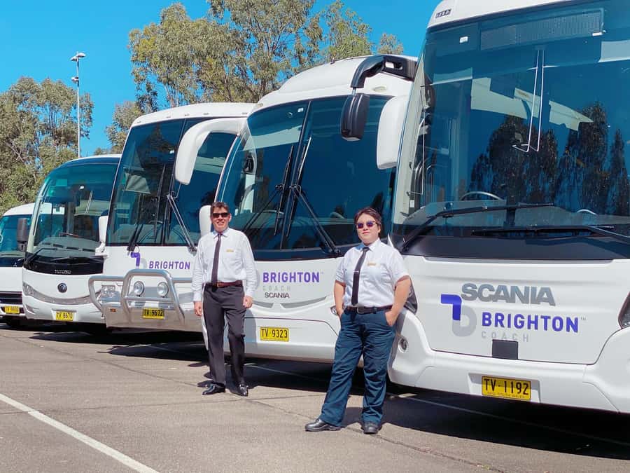 Port Stephens: Dolphin Cruise, Lunch, Koalas & Sandboarding - Price and value: is $140 fair for dolphins, koalas, and dunes?