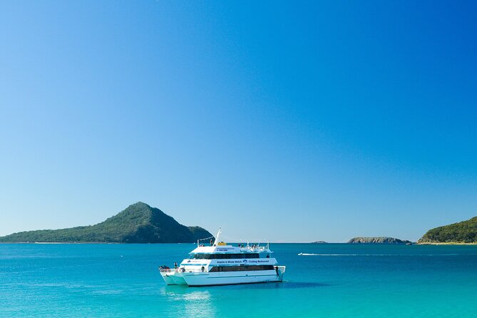 Port Stephens: Dolphin Discovery Cruise - Price and value: what about $28 really buys you