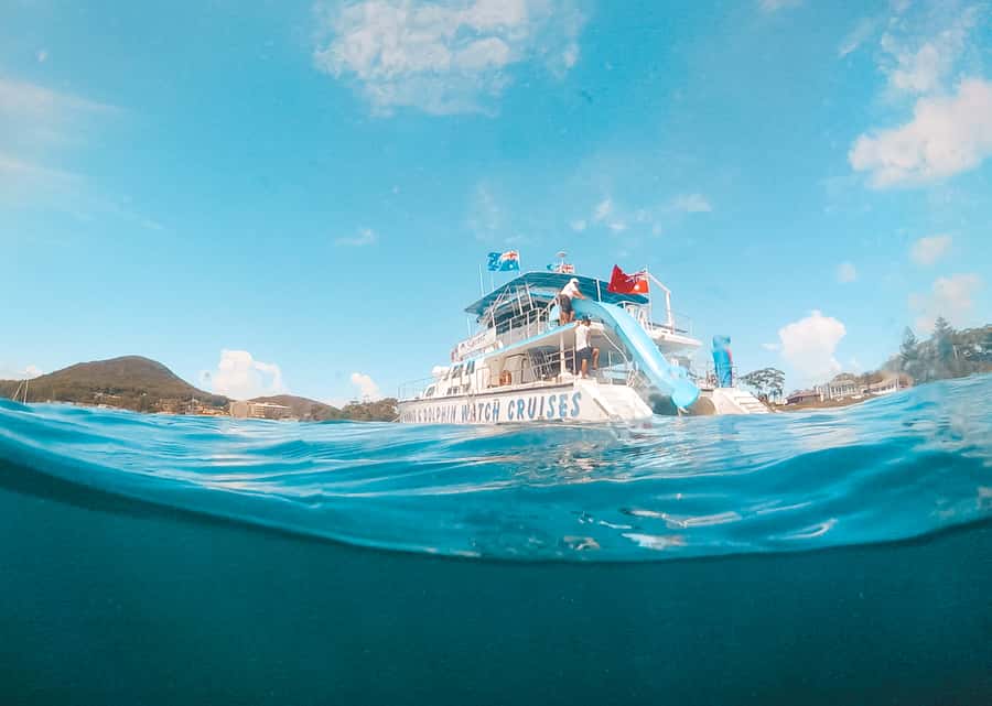Port Stephens: Dolphin Watch Cruise with Swimming and Slides - Getting onboard at Wharf 1 and timing your day
