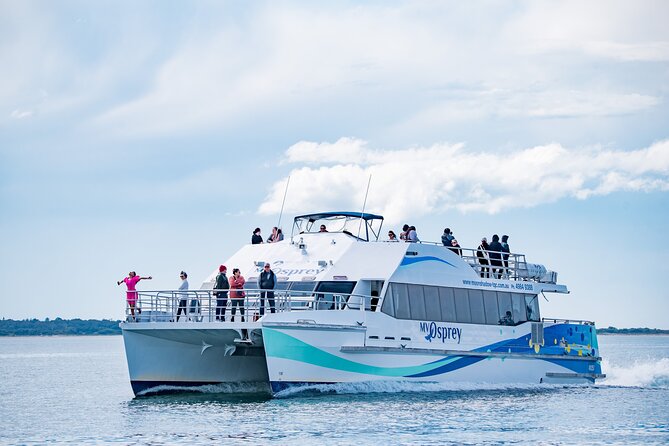 Port Stephens: Dolphin Watch & Eco Adventure - Key things I’d circle before you book