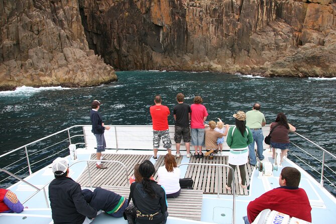 Port Stephens: Dolphin Watch & Eco Adventure - What happens on the water, hour by hour