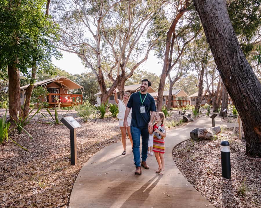 Port Stephens: Koala Sanctuary General Admission Ticket - Key highlights you should know before you go