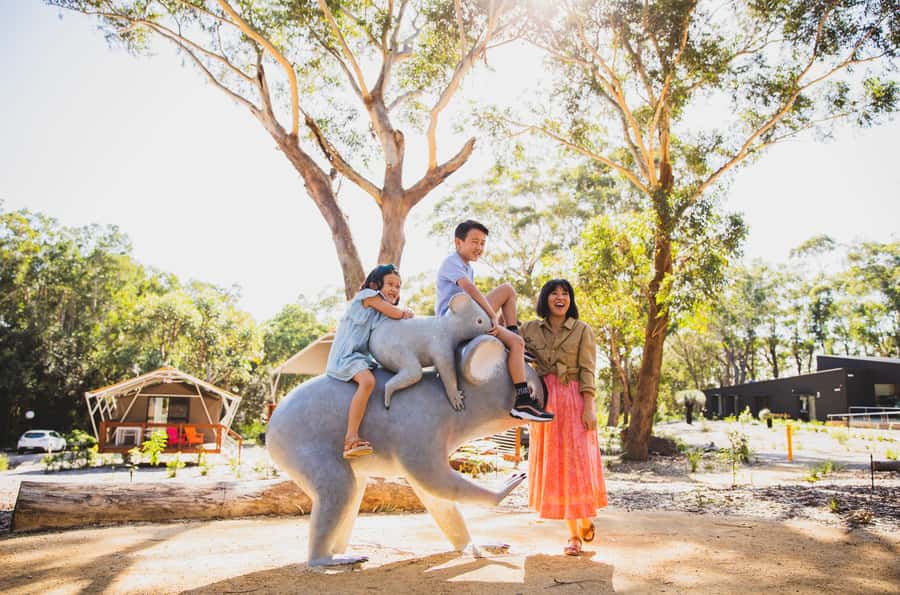 Port Stephens: Koala Sanctuary General Admission Ticket - Timing your visit: how to plan for a good day