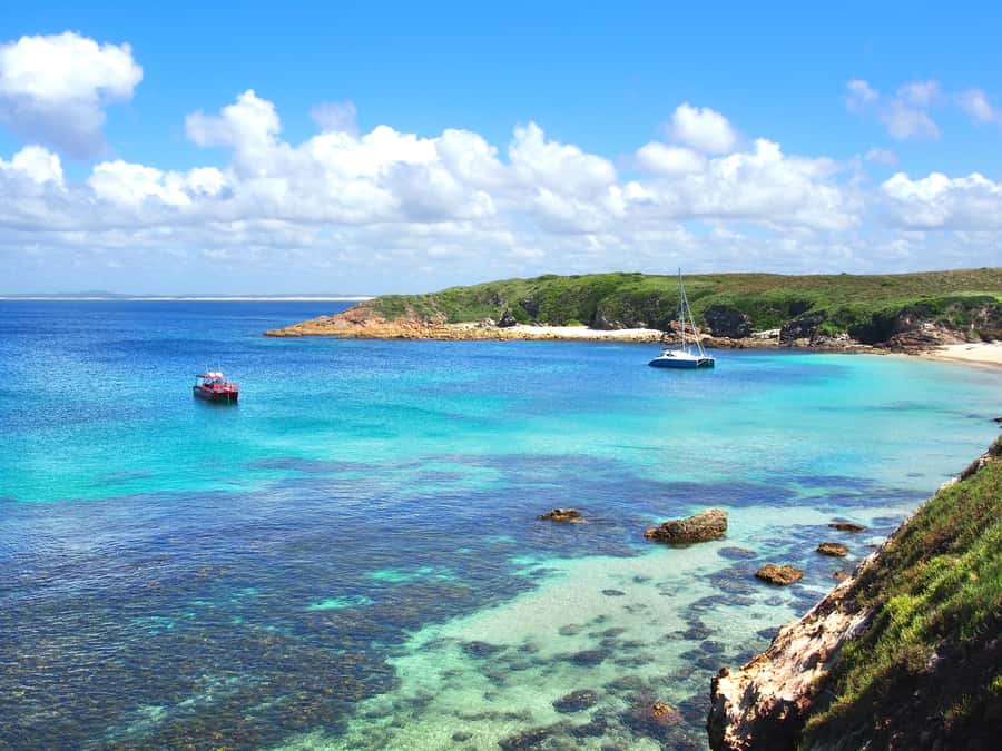 Port Stephens: Port Stephens Island Snorkel Adventure Cruise - Key things that make this snorkel cruise work