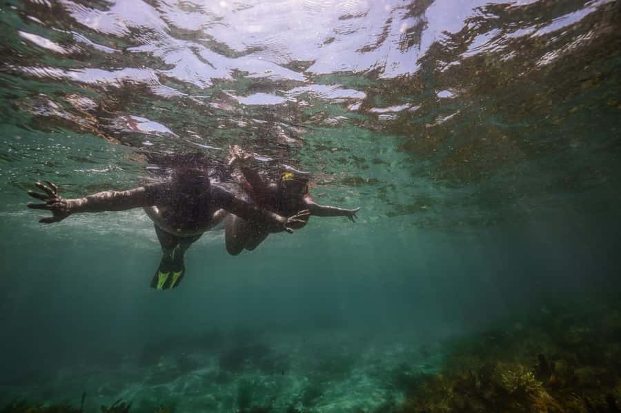 Port Stephens: Port Stephens Island Snorkel Adventure Cruise - Snorkeling guidance that changes what you notice