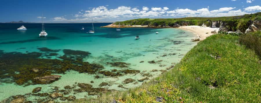 Port Stephens: Port Stephens Island Snorkel Adventure Cruise - What you might see: marine life and wildlife moments