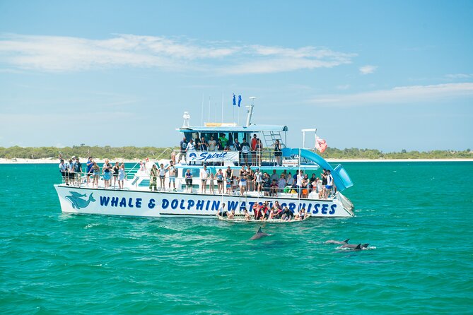 Port Stephens: Splash 'n' Slide Dolphin Cruise - Key Highlights You Should Know