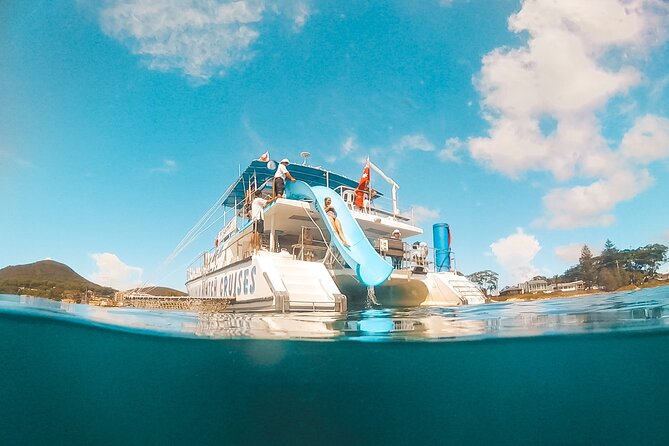 Port Stephens: Splash 'n' Slide Dolphin Cruise - Splash n Slide Dolphin Cruise Basics in Plain Terms