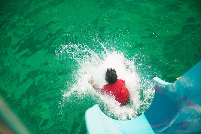 Port Stephens: Splash 'n' Slide Dolphin Cruise - Waterslide Into the Sea: The Part Kids and Adults Remember