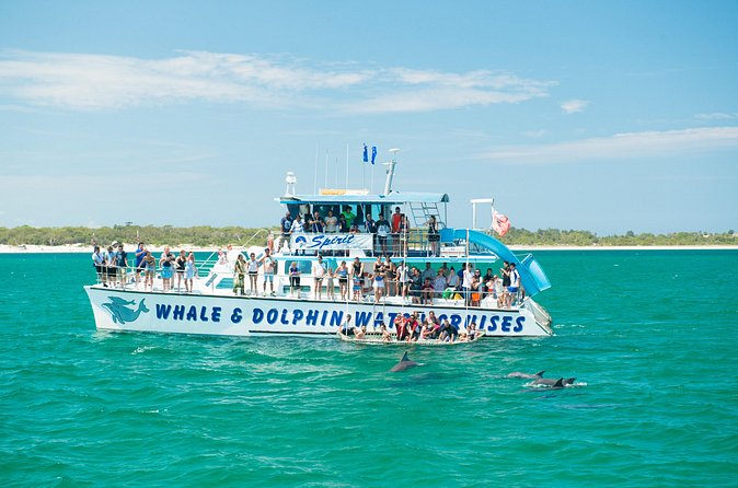 Port Stephens: Splash 'n' Slide Dolphin Cruise - Price and Value at $35.86 Per Person