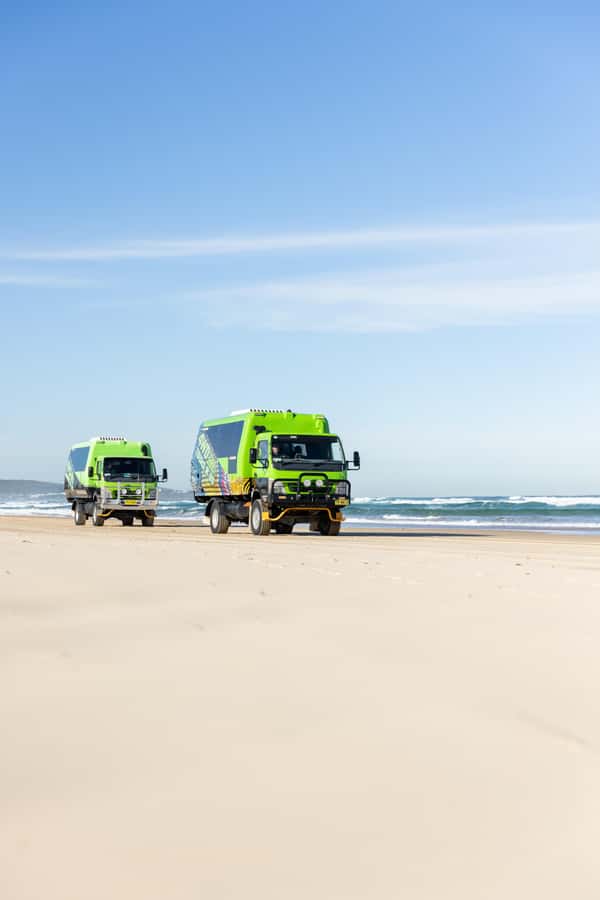 Port Stephens: Unlimited Sandboarding & 4WD Sand Dune Tour - Who This Tour Suits Best (and Who Should Skip It)