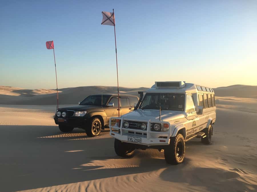 Port Stephens: Unlimited Sandboarding with 4WD Dune Transfer - Who should book, and who should sit this one out