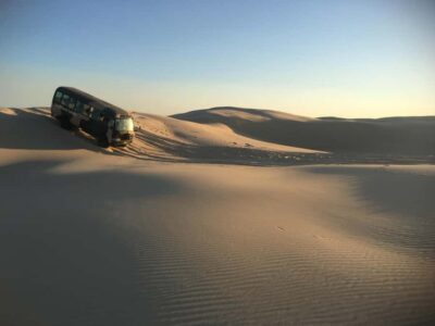 Port Stephens: Unlimited Sandboarding with 4WD Dune Transfer