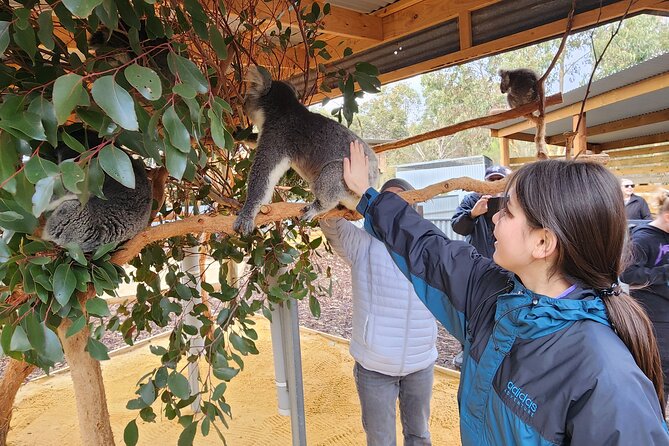 Premium 2 Day Kangaroo Island Minibus Tour from Adelaide - Price and value: is $1,075.86 per person really premium?